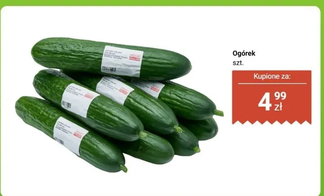 Ogórek 1 szt. promocja w Dino