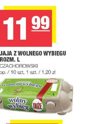 Jaja z wolnego wybiegu Czachorowski promocja w SPAR
