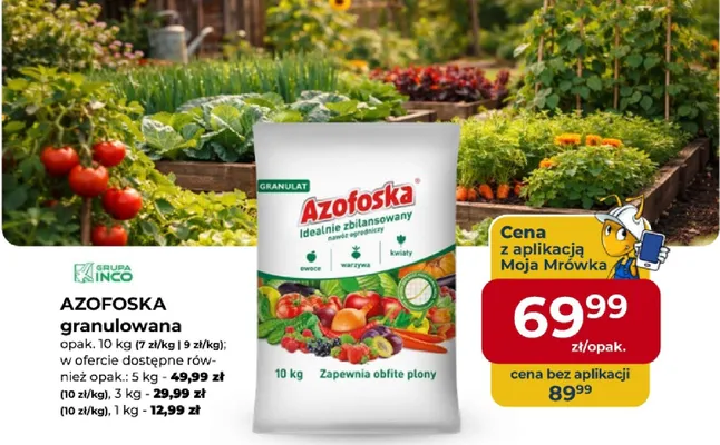 AZOFOSKA granulowana 10kg promocja w PSB Mrówka