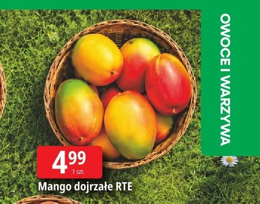 Mango dojrzałe RTE promocja w Leclerc