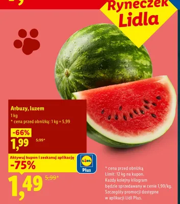 Arbuz luzem promocja w Lidl