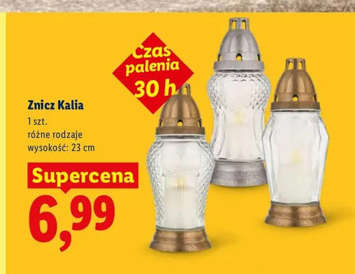 Znicz Kalia promocja w Lidl