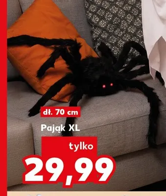 Pająk Xl promocja w Kaufland