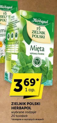 Zielnik Polski Herbapol Mięta promocja w ABC