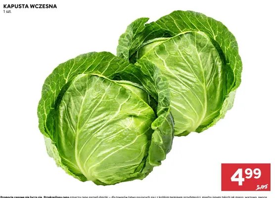 Kapusta wczesna promocja w Stokrotka