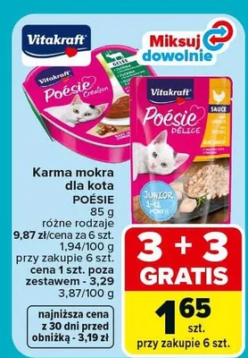 Karma mokra dla kota różne rodzaje promocja w Carrefour Market