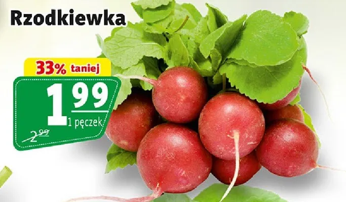 Rzodkiewka promocja w Prim Market