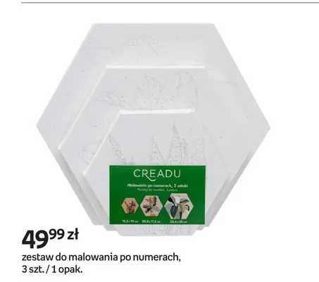 Zestaw do malowania po numerach, 3 szt. promocja w Empik