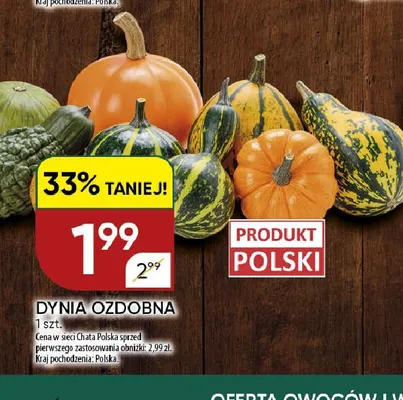 Dynia ozdobna promocja w Chata Polska