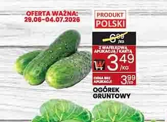 Ogórek gruntowy promocja w Wafelek