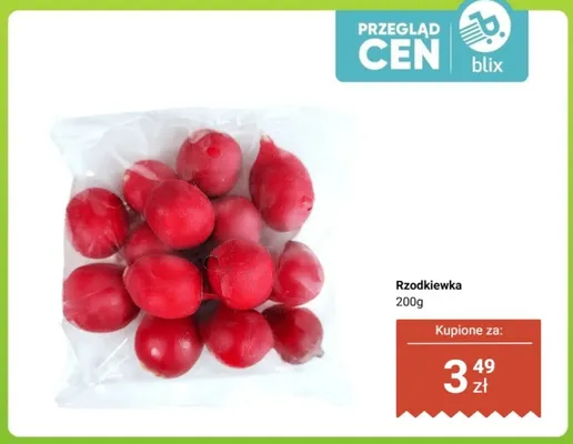 Rzodkiewka promocja w Dino