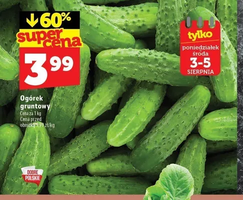 Ogórek gruntowy promocja w TOPAZ