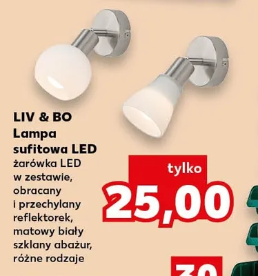 Lampa sufitowa LED Liv & Bo promocja w Kaufland