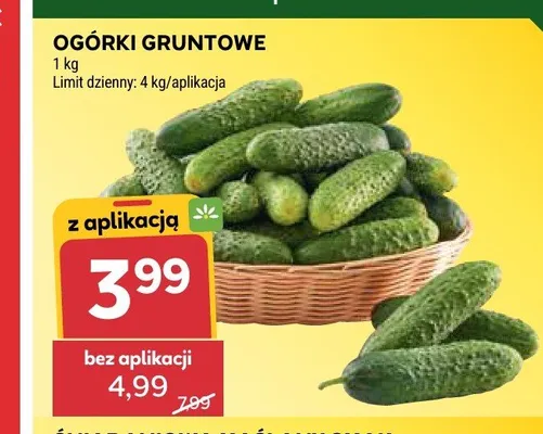 Ogórki gruntowe promocja w Stokrotka