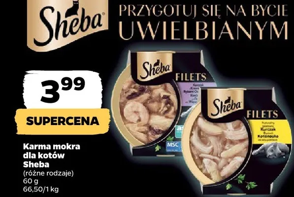Karma mokra dla kotów promocja w Netto