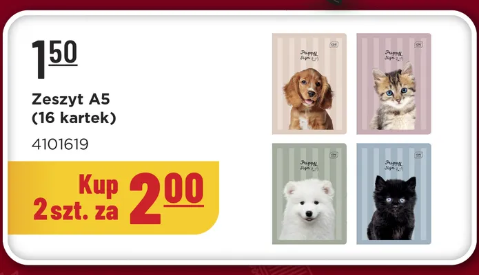 Zeszyt A5 Interdruk 16 kartek promocja w MR. DIY