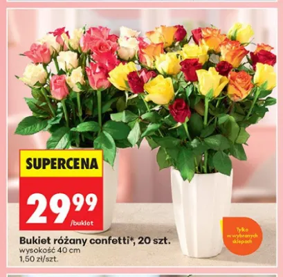 Bukiet różany confetti wysokość 40cm promocja w Biedronka