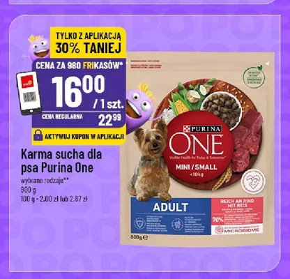Karma sucha dla psa Purina One Mini/Small Adult promocja w POLOmarket
