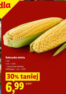Kukurydza świeża promocja w Lidl