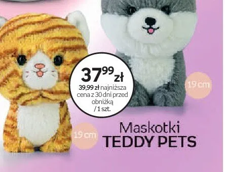 Maskotka TEDDY PETS 19cm promocja w Empik