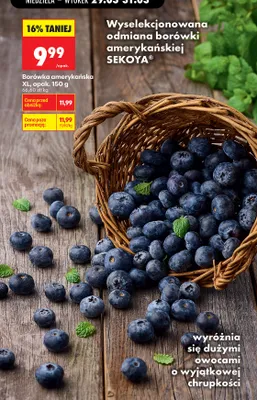 Borówka amerykańska XL promocja w Biedronka
