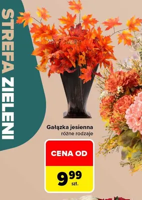Gałązka jesienna promocja w Carrefour