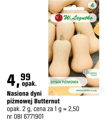 Nasiona dyni piżmowej Butternut promocja w OBI