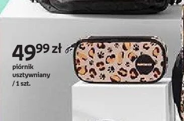 Piórnik usztywniany Backup pantera promocja w Empik