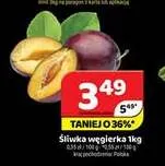 Śliwki węgierki promocja w Delfin
