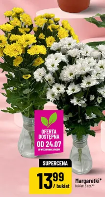 Margaretki bukiet promocja w POLOmarket