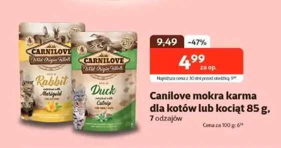 Mokra karma dla kotów lub kociąt promocja w KAKADU