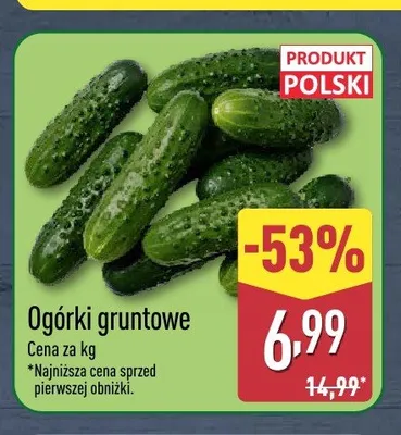 Ogórki gruntowe polskie promocja w Aldi