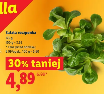 Sałata roszponka Lidl promocja w Lidl
