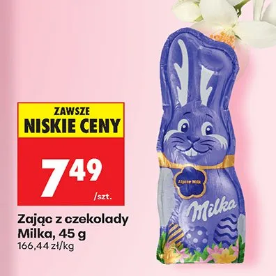 Zając z czekolady promocja w Biedronka