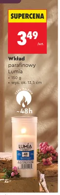 Wkład parafinowy Lumia promocja w Biedronka
