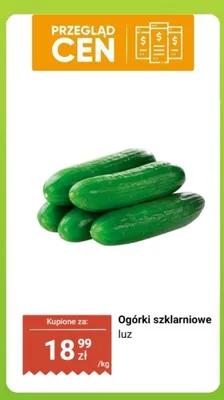 Ogórki szklarniowe luz promocja w Biedronka