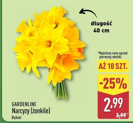 Narcyzy (żonkile) bukiet promocja w Aldi