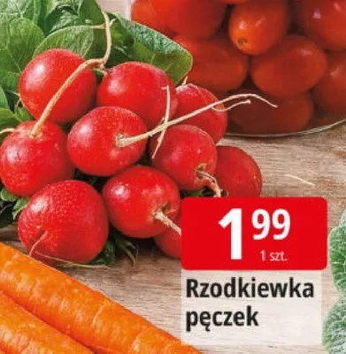 Rzodkiewka pęczek promocja w Leclerc