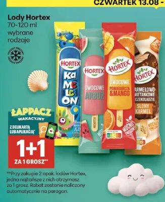 Lody Hortex Owocowe Mango promocja w Delikatesy Centrum