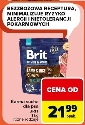 Karma sucha dla psa różne rodzaje promocja w Carrefour Market