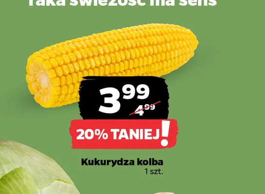 Kukurydza kolba promocja w Netto