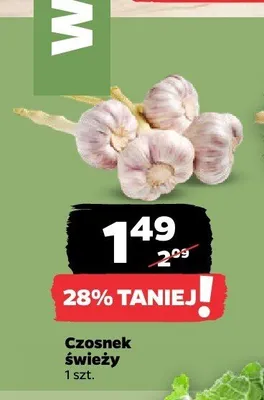 Czosnek świeży promocja w Netto