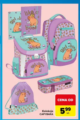 Kolekcja Capybara promocja w Carrefour