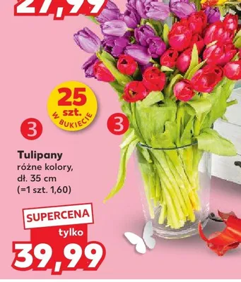 Tulipany promocja w Kaufland