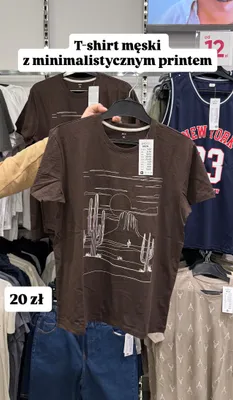 T-shirt męski z minimalistycznym printem Pepco Men brązowy promocja w Pepco