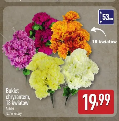 Bukiet chryzantem 18 kwiatów promocja w Aldi