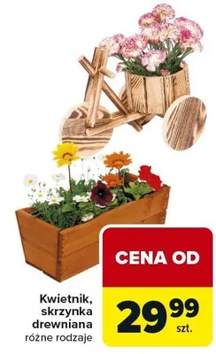 Kwietnik skrzynka drewniana różne rodzaje promocja w Carrefour