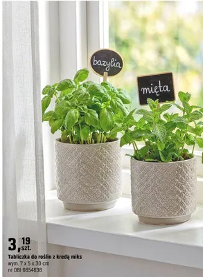 Tabliczka do roślin z kredą miks promocja w OBI