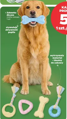 Zabawka dla psa hantla promocja w Netto