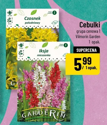 Cebulki grupa cenowa 1 Czosnek południowy, Iksja mieszanka promocja w POLOmarket